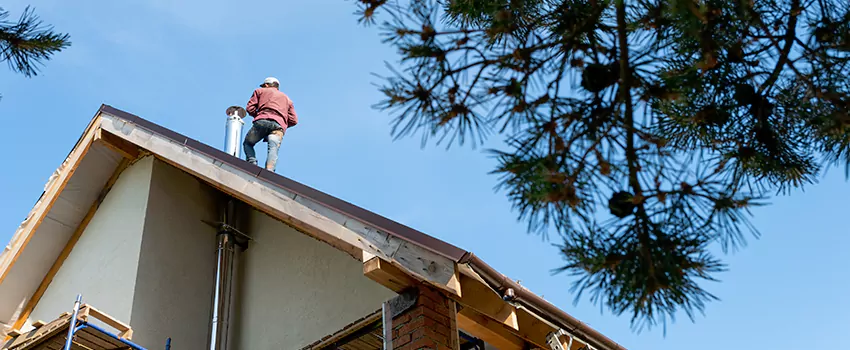 Birds Removal Contractors from Chimney in Hillcrest Heights, MD